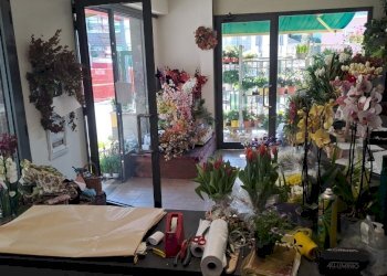 interno1.jpg - Piante e Fiori Via Cerisola, Rapallo - foto 15