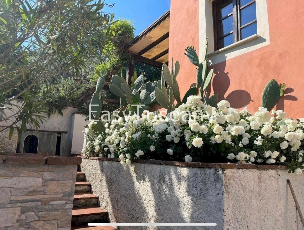 2d6b09c7-8bb0-44e7-a3e4-d8fa1d986422.jpg - Casa indipendente Via Pieroni, Capannori - foto 1