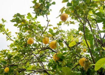 Baia del Silence (13).jpg - Villa Contrada Frandanese, Augusta - photo 8