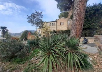 WhatsApp Image 2020-11-28 at 07.31.40.jpeg - Villa VIA chiaravallese, Osimo - foto 13