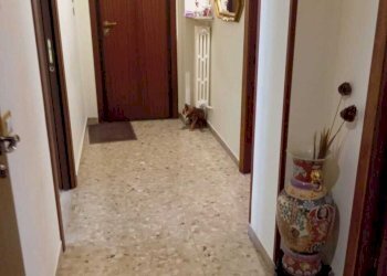 IMG-20240913-WA0008.jpg - Four-room apartment Via Cingoli 7, Ancona - photo 10