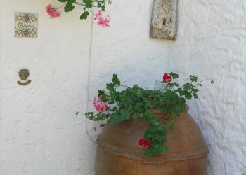 DSCN0744.JPG - Porzione di casa Via delle Rose, frazione Villaggio Taunus, Numana - foto 12