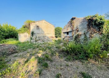 IMG_2068.jpeg - Rustic Via Inferno, Camerano - photo 5