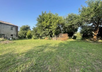 IMG_2050.jpeg - Rustic Via Inferno, Camerano - photo 9