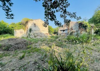 IMG_2065.jpeg - Rustic Via Inferno, Camerano - photo 10