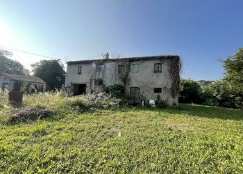 IMG_2054.jpeg - Rustic Via Inferno, Camerano - photo 15