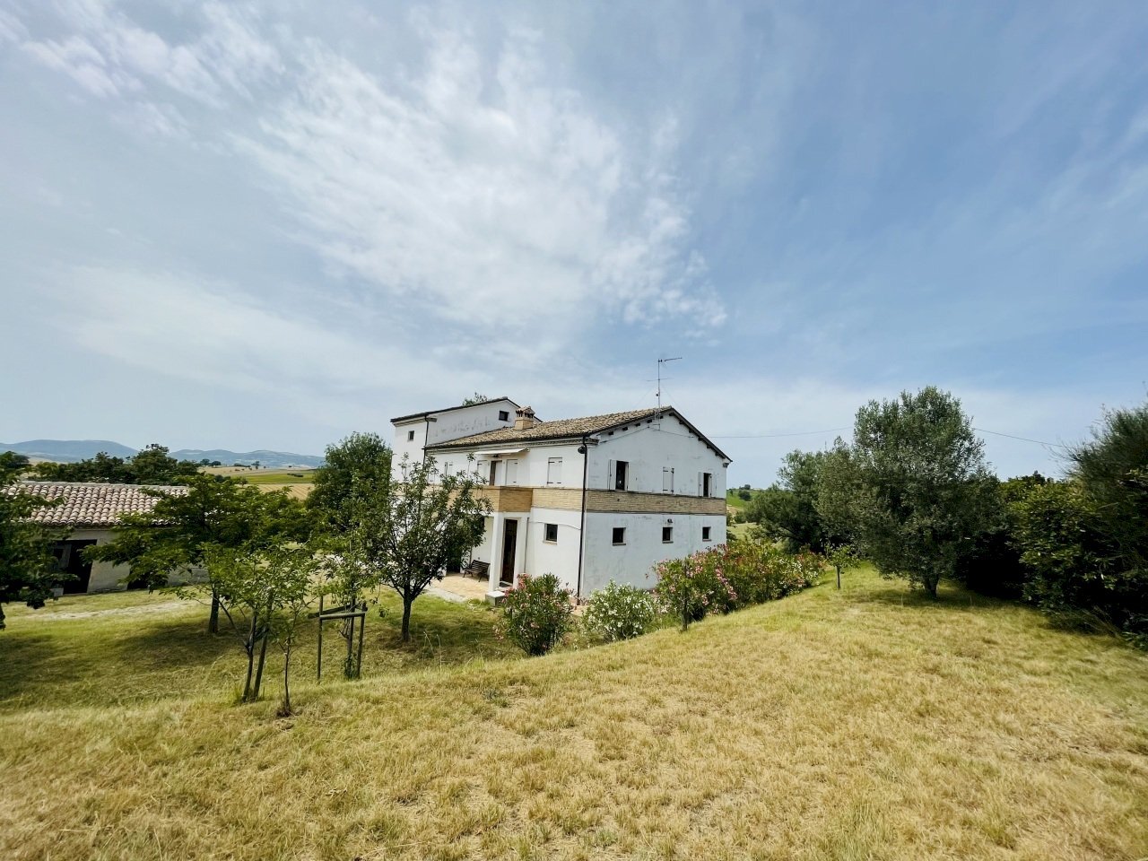 IMG_5775.jpeg - Rustic Filottrano, Filottrano - photo 2