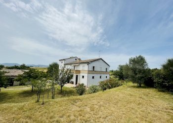 IMG_5775.jpeg - Rustic Filottrano, Filottrano - photo 2