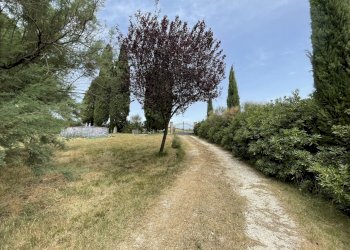 IMG_5766.jpeg - Rustic Filottrano, Filottrano - photo 3