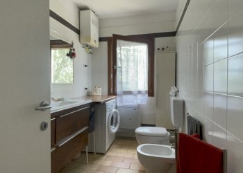 IMG_5738.jpeg - Rustic Filottrano, Filottrano - photo 18