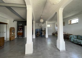 IMG_5751.jpeg - Rustic Filottrano, Filottrano - photo 20