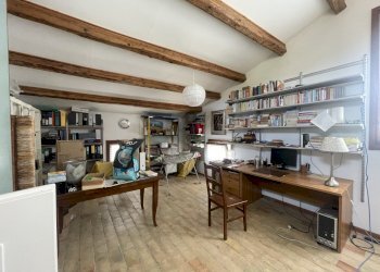 IMG_5743.jpeg - Rustic Filottrano, Filottrano - photo 24