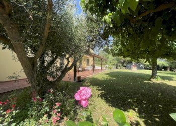 IMG_2304.jpeg - Rustic offagna, Offagna - photo 6