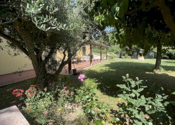 IMG_2302.jpeg - Rustic offagna, Offagna - photo 11