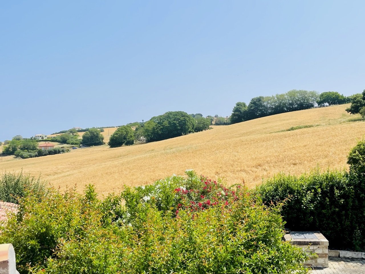 IMG_2137.jpeg - Villa Coppo, Sirolo - photo 3