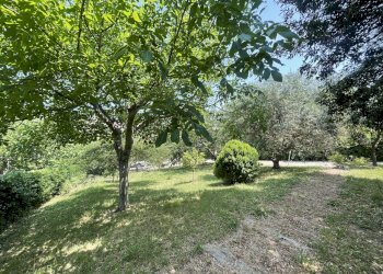 IMG_2143.jpeg - Villa Coppo, Sirolo - photo 6