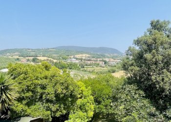 IMG_2121.jpeg - Villa Coppo, Sirolo - photo 7