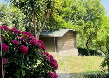 IMG_2110.jpeg - Villa Coppo, Sirolo - photo 17