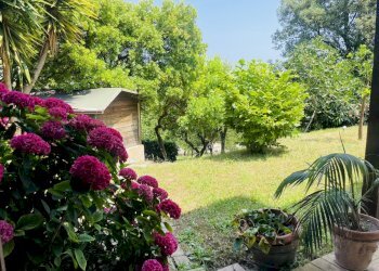 IMG_2112.jpeg - Villa Coppo, Sirolo - photo 18