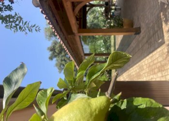 IMG_2089.jpeg - Villa Coppo, Sirolo - photo 20