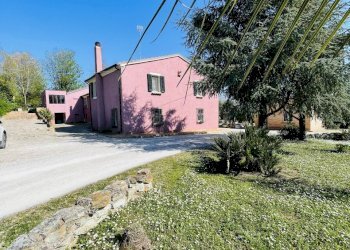 IMG_6085.jpeg - Casale Via Paterno, Ancona (zona Collemarino) - foto 12