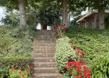 IMG_1916.jpeg - Villa VIA CHIARAVALLESE, Osimo - foto 22