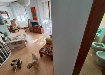 14f09ddd-d453-4021-a3d7-0268f3c850db.jpg - Trilocale Via Giuseppe Garibaldi 208, Guidonia Montecelio - foto 9