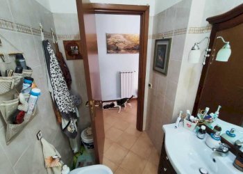 4b97f47a-e85b-4518-939c-295c8608f89a.jpg - Trilocale Via Giuseppe Garibaldi 208, Guidonia Montecelio - foto 16