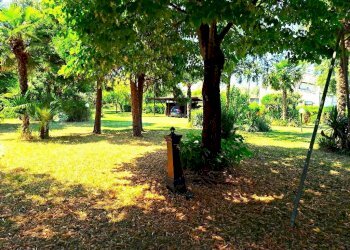 area verde.jpeg - Porzione di casa Rovigo - foto 19