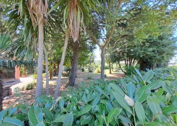 vista esterna dell\'area giardino.jpeg - Porzione di casa Rovigo - foto 26