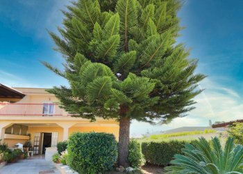 giardino - Villa Via Torpediniere, Taranto - foto 4