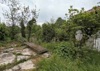 giardino - Porzione di casa Via Guglielmo Marconi, Ziano Piacentino - foto 20