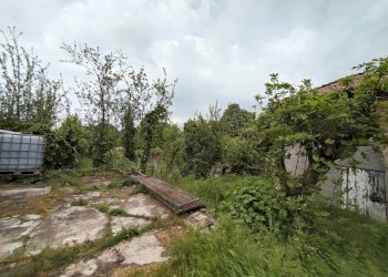 giardino - Porzione di casa Via Guglielmo Marconi, Ziano Piacentino - foto 23