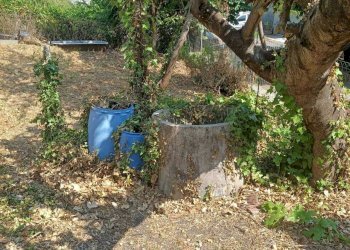 giardino - Porzione di casa Via Guglielmo Marconi, Ziano Piacentino - foto 24