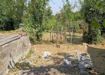 giardino - Porzione di casa Via Guglielmo Marconi, Ziano Piacentino - foto 25