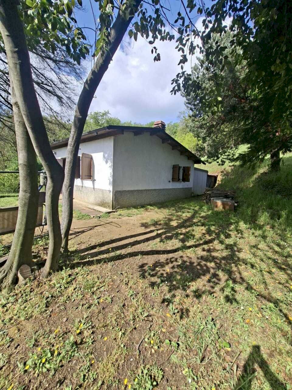 WhatsApp Image 2026-04-16 at 12.12.13.jpeg - Villa Medesano - foto 3