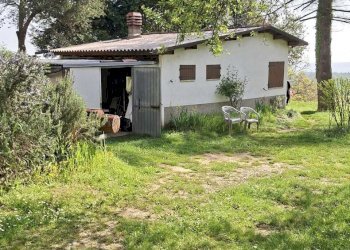 WhatsApp Image 2026-04-16 at 12.12.15.jpeg - Villa Medesano - foto 4