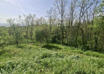 WhatsApp Image 2026-04-16 at 12.13.24.jpeg - Villa Medesano - foto 25