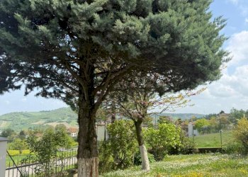 WhatsApp Image 2026-04-16 at 12.04.43 (1).jpeg - Casa indipendente Fornovo di Taro - foto 4