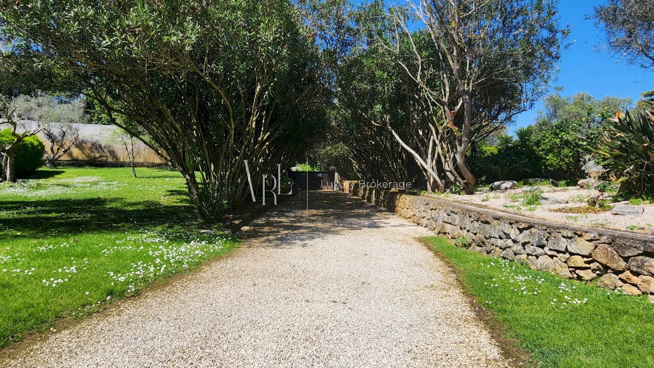 1 - Albergo - Struttura ricettiva Via Appia Antica, Roma - foto 2