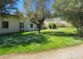 1 - Albergo - Struttura ricettiva Via Appia Antica, Roma - foto 1