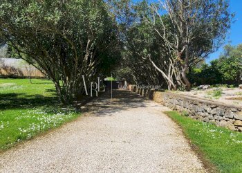 1 - Albergo - Struttura ricettiva Via Appia Antica, Roma - foto 2