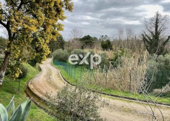 Casale Via Pantane, Fauglia - photo 6