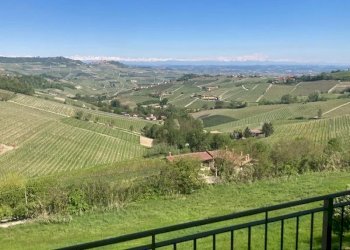 Appartamento Monforte d'Alba - foto 2