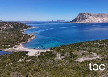 Trilocale San Teodoro - foto 18