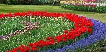 Apartment Senigallia - photo 1