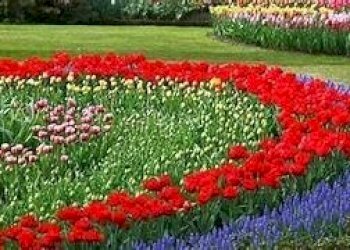 Appartamento Senigallia - foto 1