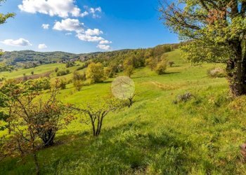 Casa indipendente Str. della Val Bardea, Tizzano Val Parma - foto 32