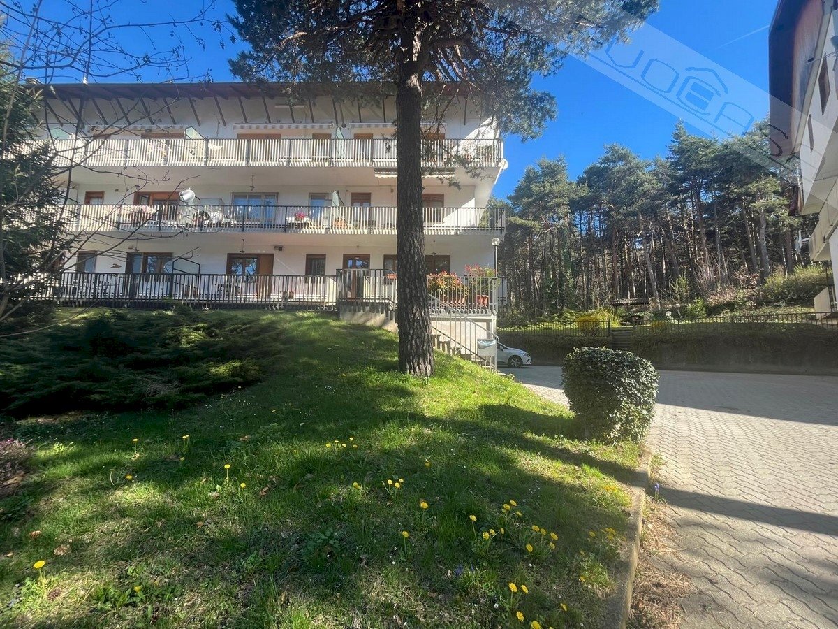 Three-room apartment Viale Della Pineta , Perosa Argentina - photo 3