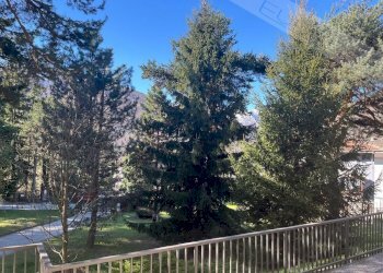 Three-room apartment Viale Della Pineta , Perosa Argentina - photo 20